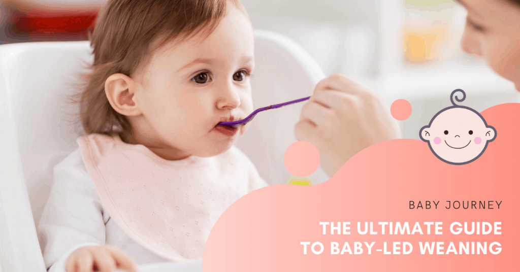 The Ultimate Guide to Baby-Led Weaning | Baby Journey