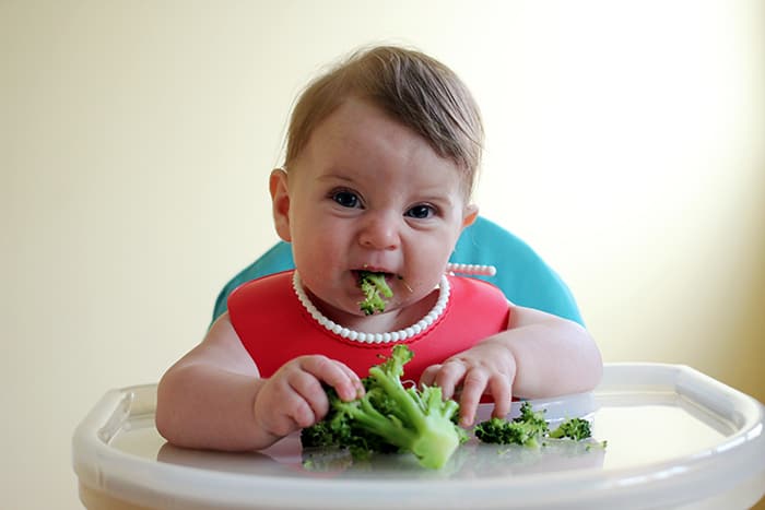 If done right, baby-led weaning will NOT cause your baby to choke. - Is Baby Led Weaning Safe? | Baby Journey 