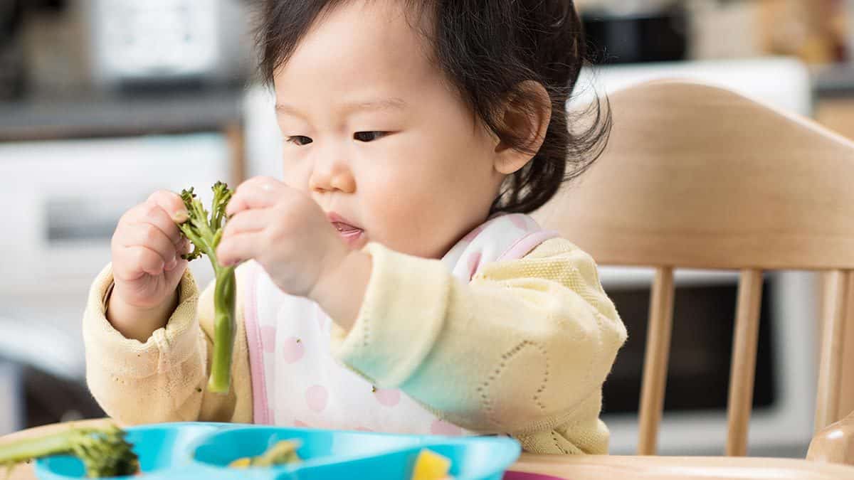 Baby-led weaning is actually safer than most people think. - Is Baby Led Weaning Safe? | Baby Journey 