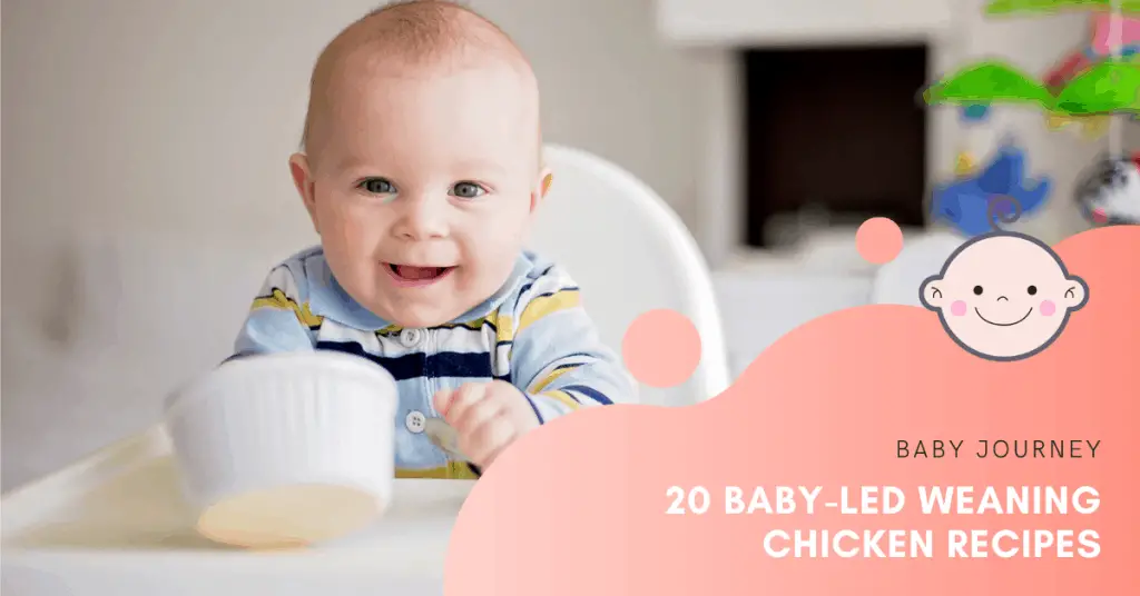 20 Baby-Led Weaning Chicken Recipes | Baby Journey