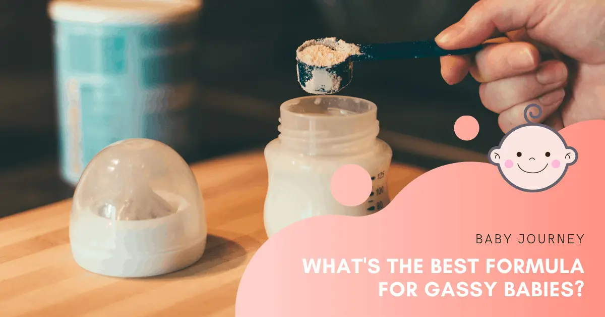 Best Formula for Gassy Babies | Baby Journey
