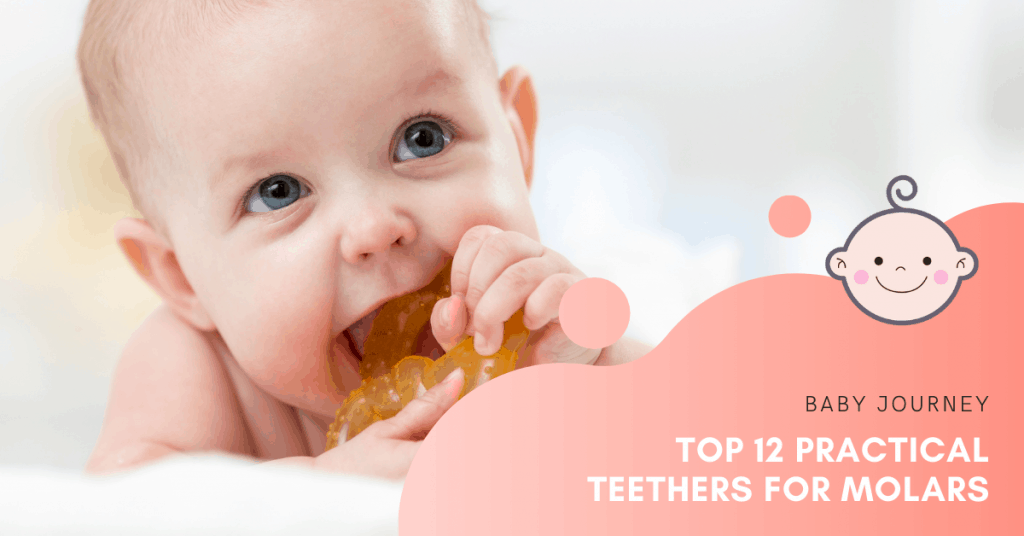 Teethers for Molars | Baby Journey