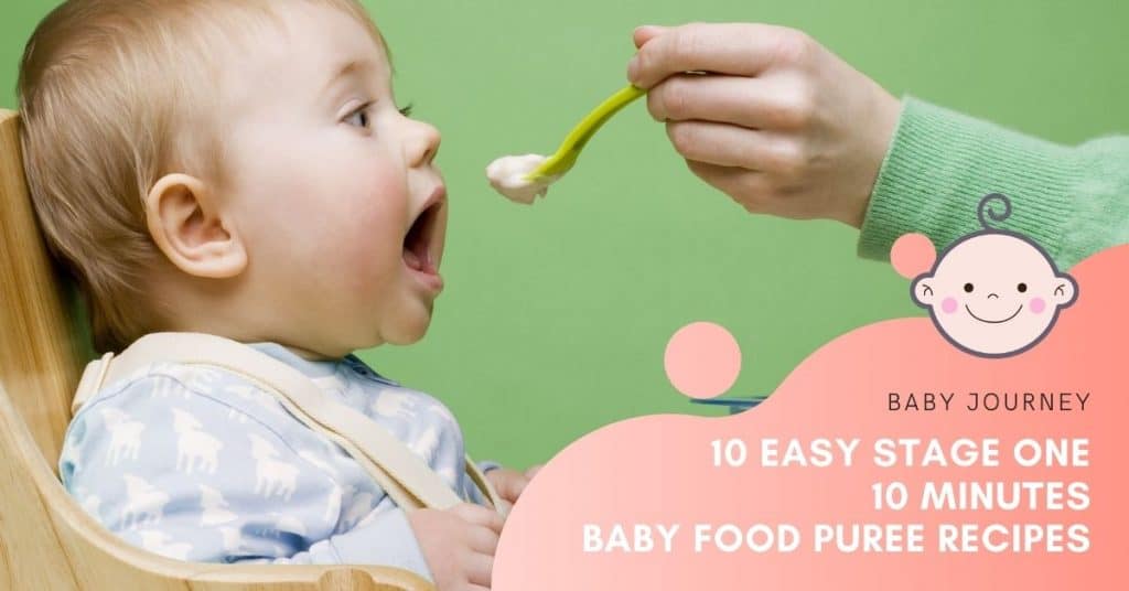 Baby Food Puree Recipes | Baby Journey