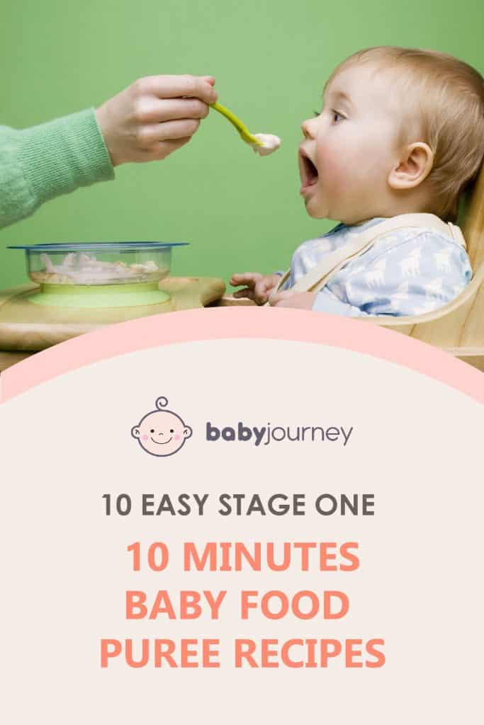 Baby Food Puree Recipes | Baby Journey 