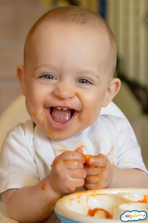 Sweet Apricot | Superfoods for Baby | Baby Journey 
