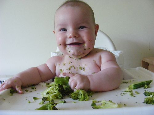  Be Clever with Broccoli | Superfoods for Baby | Baby Journey 