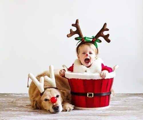 cutest little reindeer in this Christmas - take a photo with your furry kids 