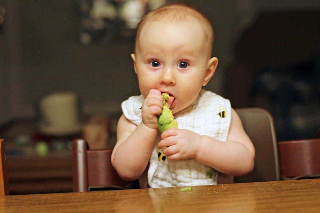 Avocado as Superfoods for Babies | Baby Journey 