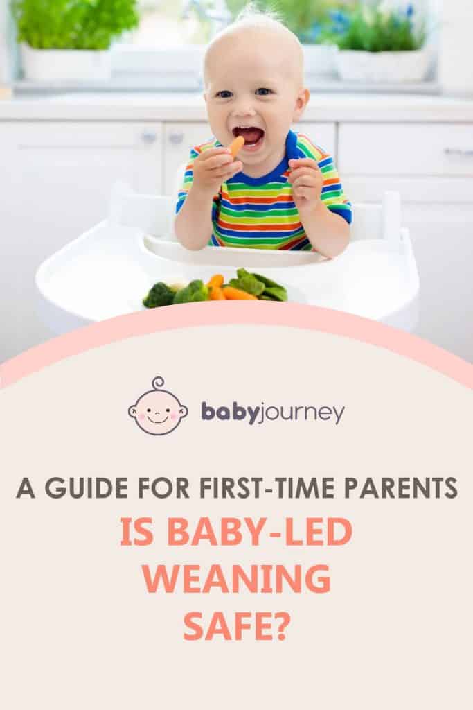 Is Baby Led Weaning Safe? | Baby Journey 
