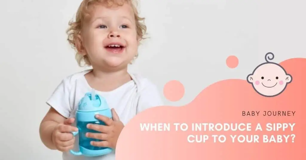 When To Introduce A Sippy Cup to Your Baby | Baby Journey