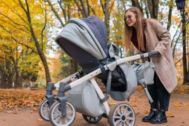 Modern Stroller | Pram VS Stroller | Baby Journey