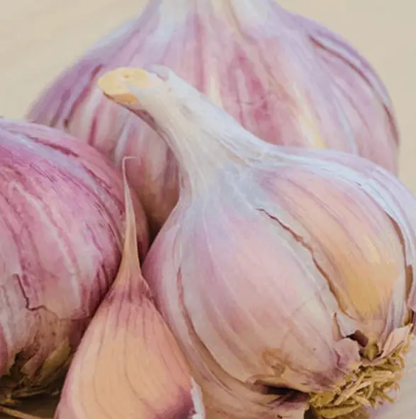 Garlic | Foods to Avoid While Breastfeeding | Baby Journey