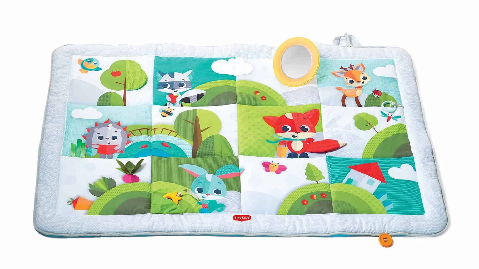 Tiny Love Play Mat | Are Bouncers Safe for Babies | Baby Journey