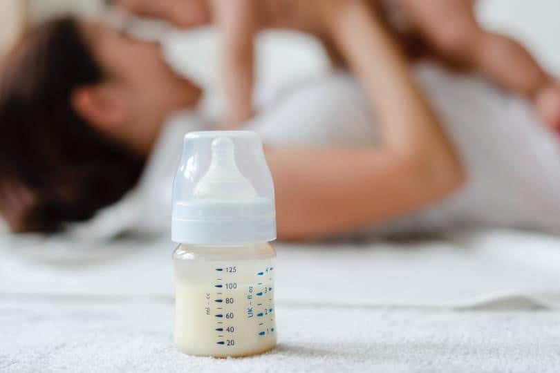 Breastmilk Supplement | Baby Formula Ingredients | Baby Journey