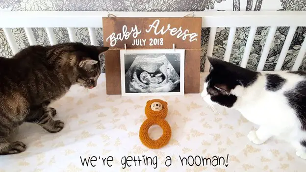 O man, another hooman! - 112 Baby Announcement Ideas Perfect to Grace Your Instagram | Baby Journey Blog