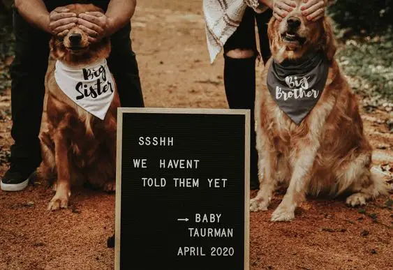 Shhh... - 112 Baby Announcement Ideas Perfect to Grace Your Instagram | Baby Journey Blog