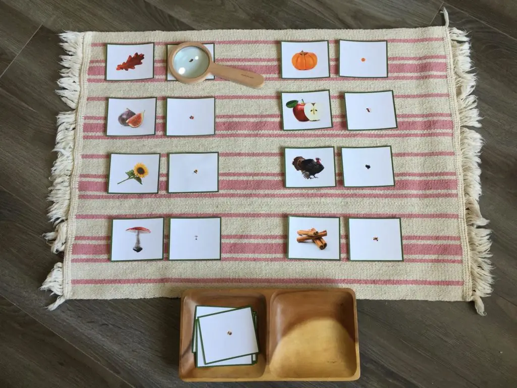 Fall Matching Activity | Montessori fall activities for kids | Baby Journey