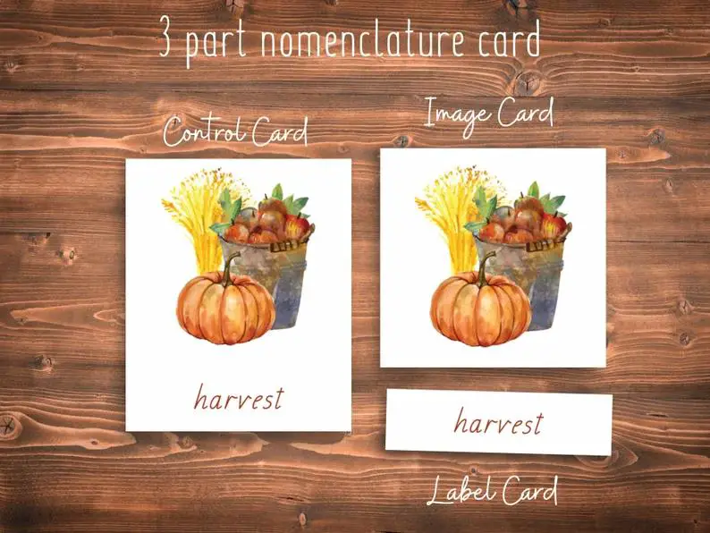 Autumn Montessori 3 Part Cards | Montessori fall activities for kids | Baby Journey