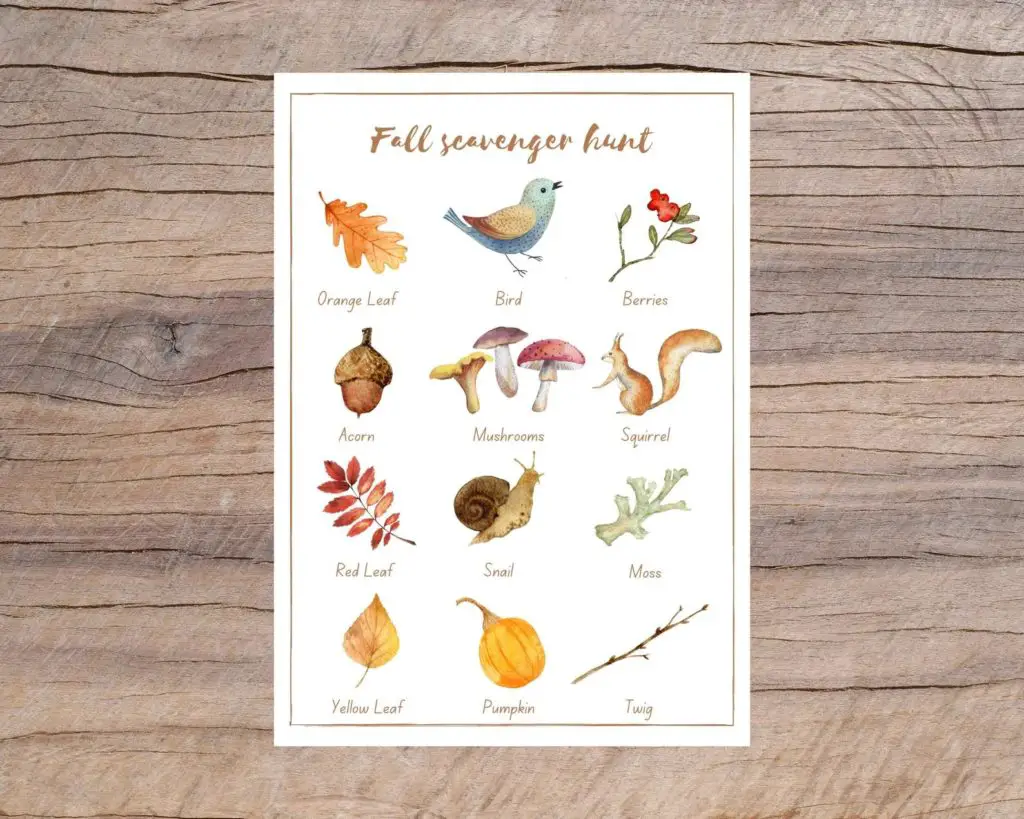 Fall Scavenger Hunt | Montessori fall activities for kids | Baby Journey