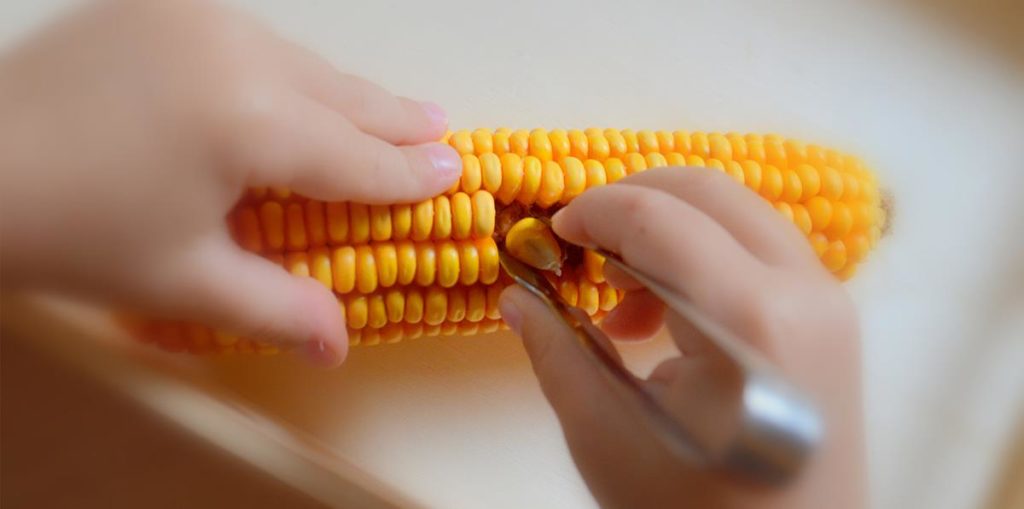 Corn Tweezing | Montessori fall activities for kids | Baby Journey