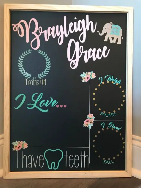 Baby's First Year Girl Monthly Milestone Chalkboard by EyesTheLimit - Baby Journey