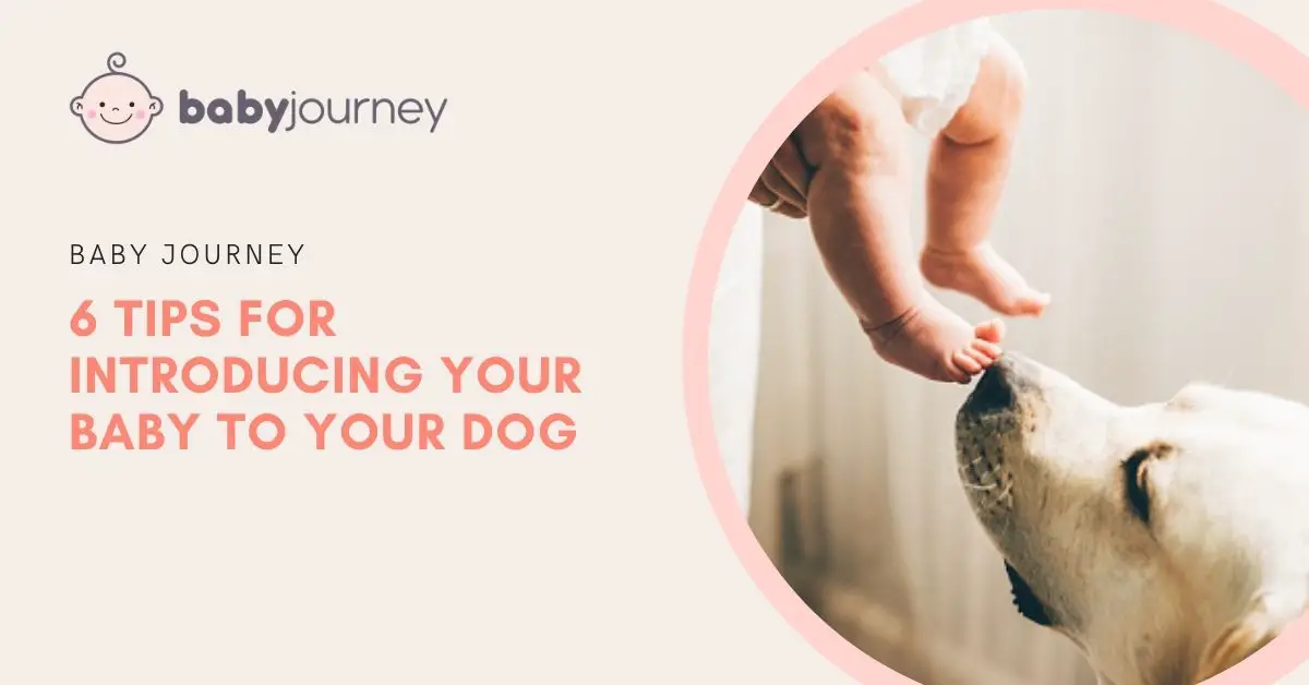 6 Tips for Introducing Your Baby to Your Dog featured image - Baby Journey