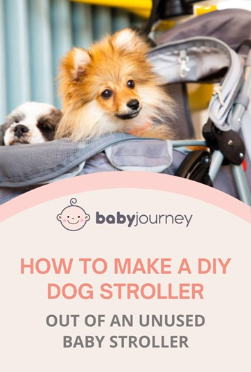 DIY Dog Stroller | Baby Journey