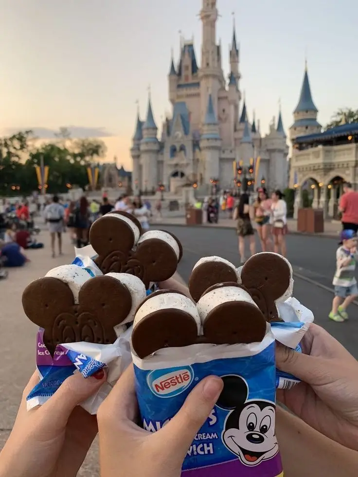 Disney snacks on your Disney trips - How to save money at Walt Disney World - Baby Journey
