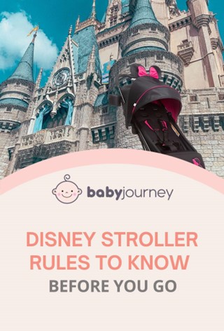 Disney Stroller Rules To Know Before You Go pinterest - Baby Journey