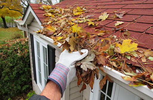 A hand clearing clogged gutters as part of home pest control - Baby Safe Pest Control: Keeping Your Home and Baby Safe From Pests - Baby Journey