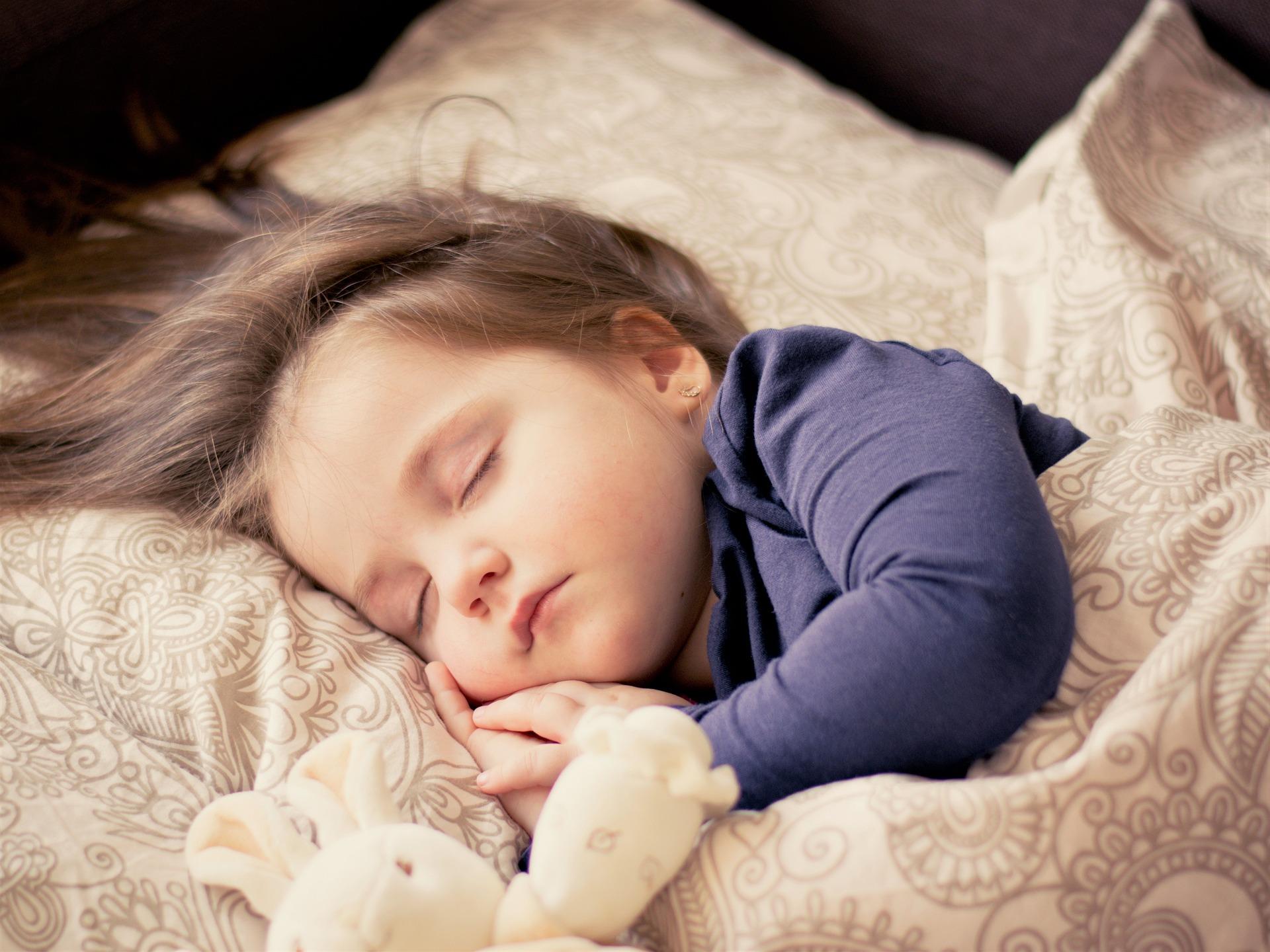A young girl toddler sleeping in bed with her bunny soft toy - Adopt a newborn vs adopt a toddler - Baby Journey