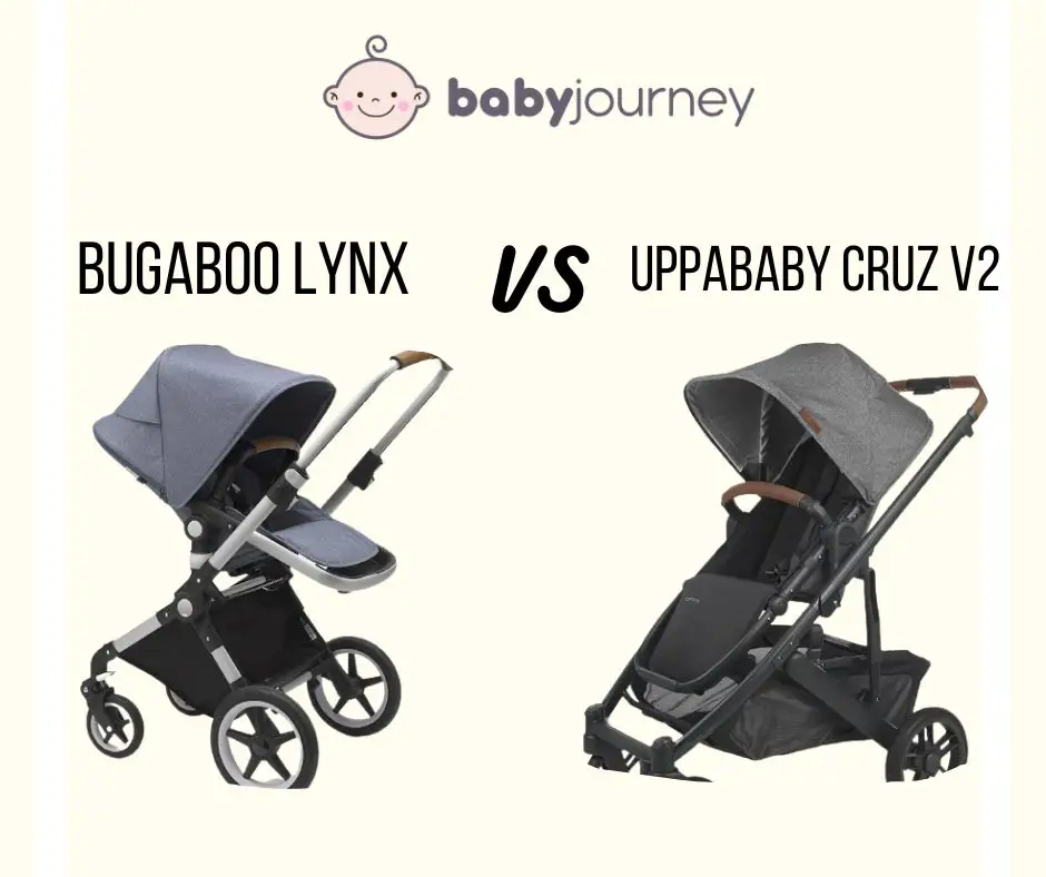 Bugaboo Lynx VS UPPAbaby Cruz - Uppababy and Bugaboo - Baby Journey