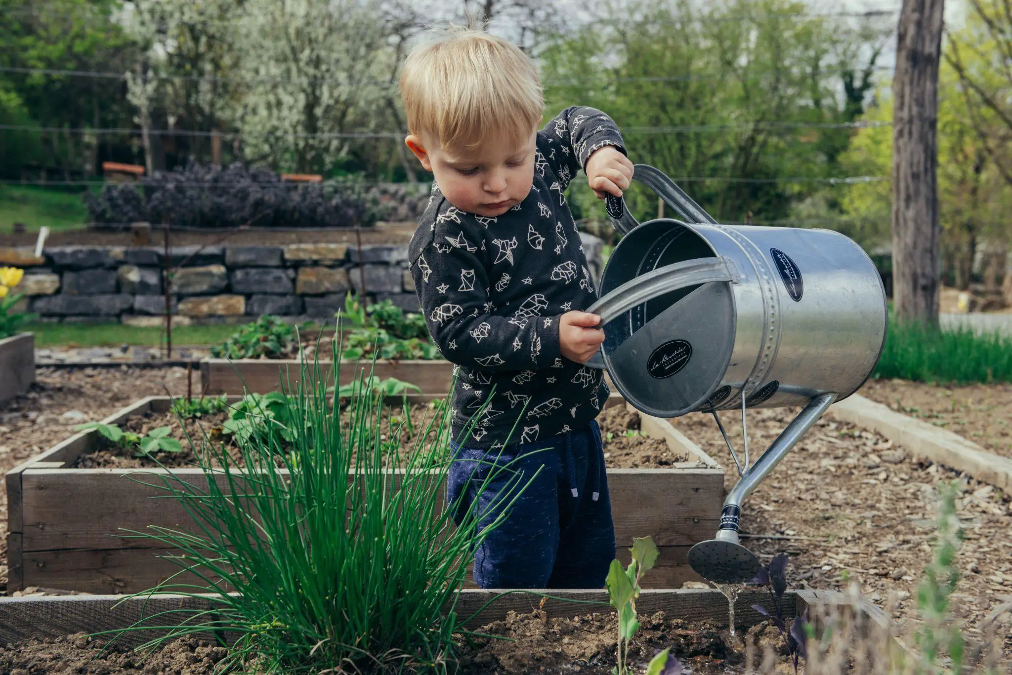 Boy watering a mini garden - DIY kid gardening projects - Babyjourney.net