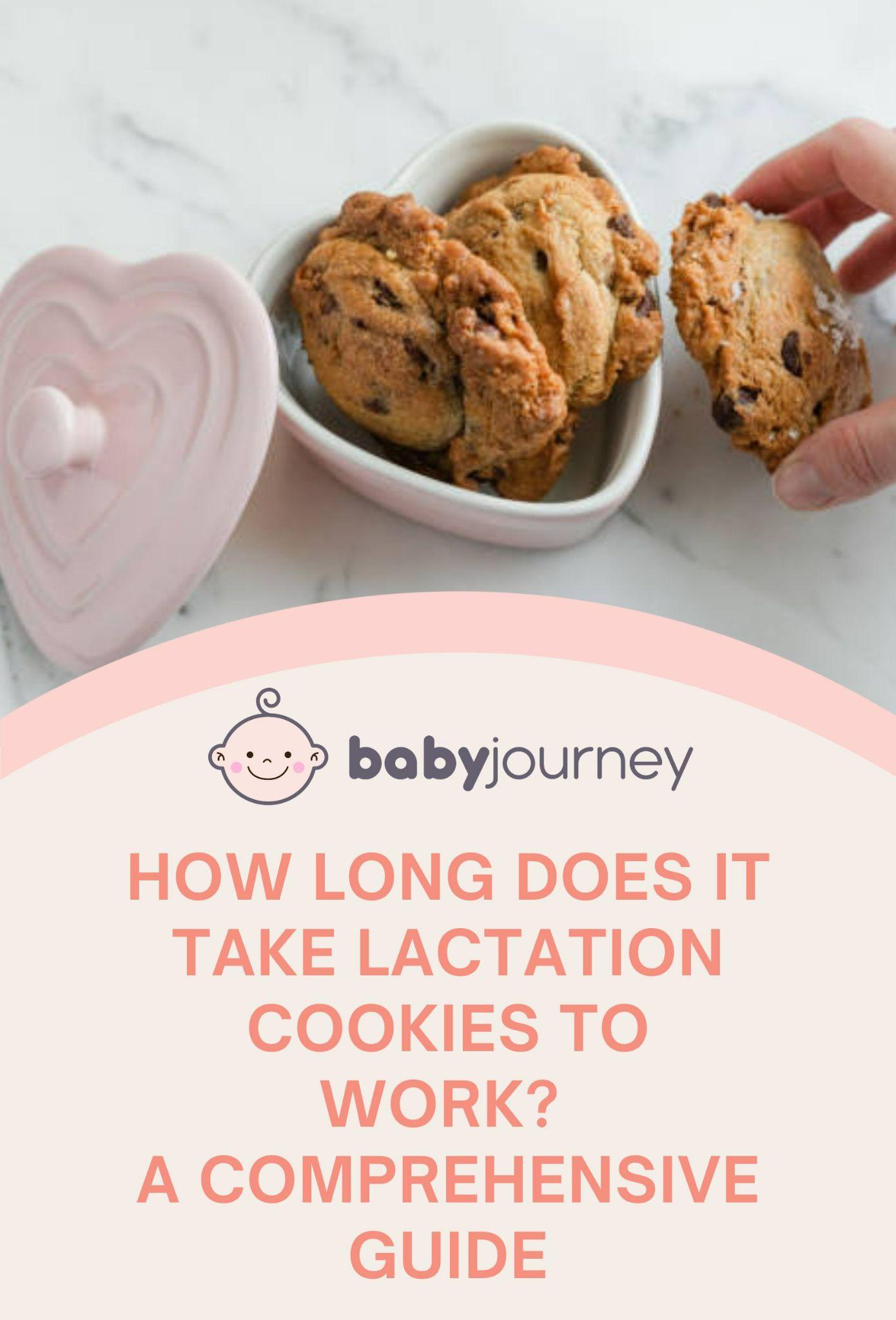 How Long Does It Take Lactation Cookies to Work? A Comprehensive Guide Pinterest Image - Baby Journey 