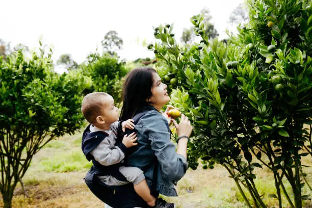 Mother is Carrying Baby in Baby Carries - How Long Can You Carry A Baby In A Carrier - Baby Journey