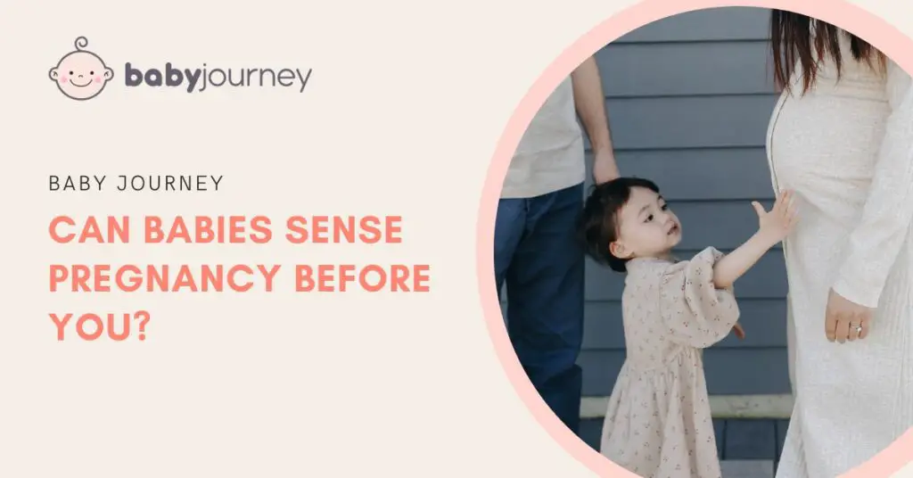 Can Babies Sense Pregnancy Before You featured image - Baby Journey