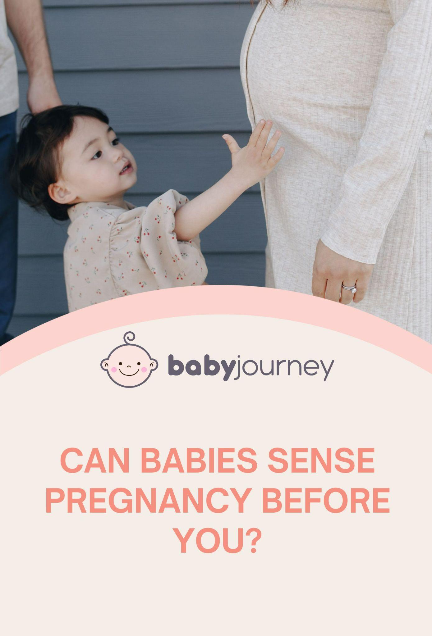 Can Babies Sense Pregnancy Before You Pinterest - Baby Journey